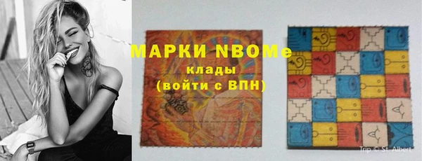 стаф Баксан