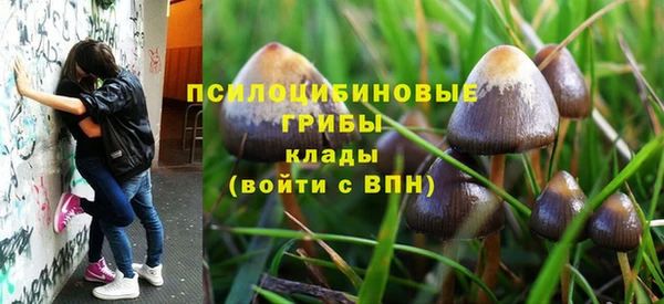 стаф Баксан