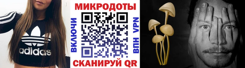 Псилоцибиновые грибы Magic Shrooms  Бугульма 