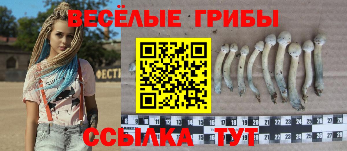 Псилоцибиновые грибы Magic Shrooms Бугульма