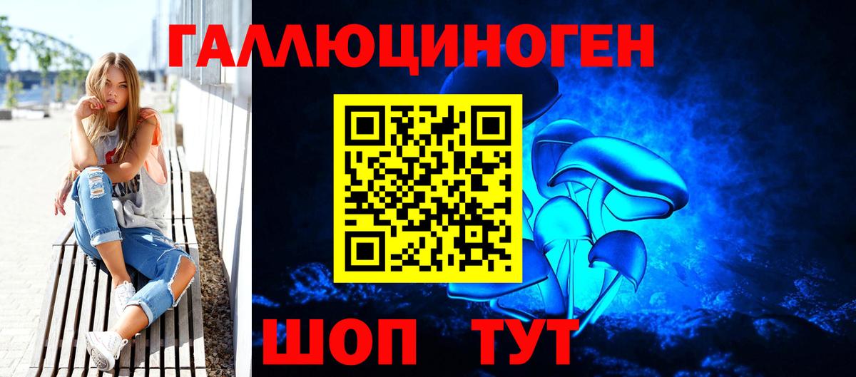 Псилоцибиновые грибы Psilocybine cubensis  Бугульма 